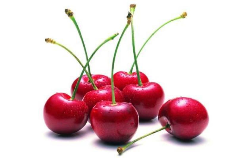 Bé 1 tuổi ăn trái cây