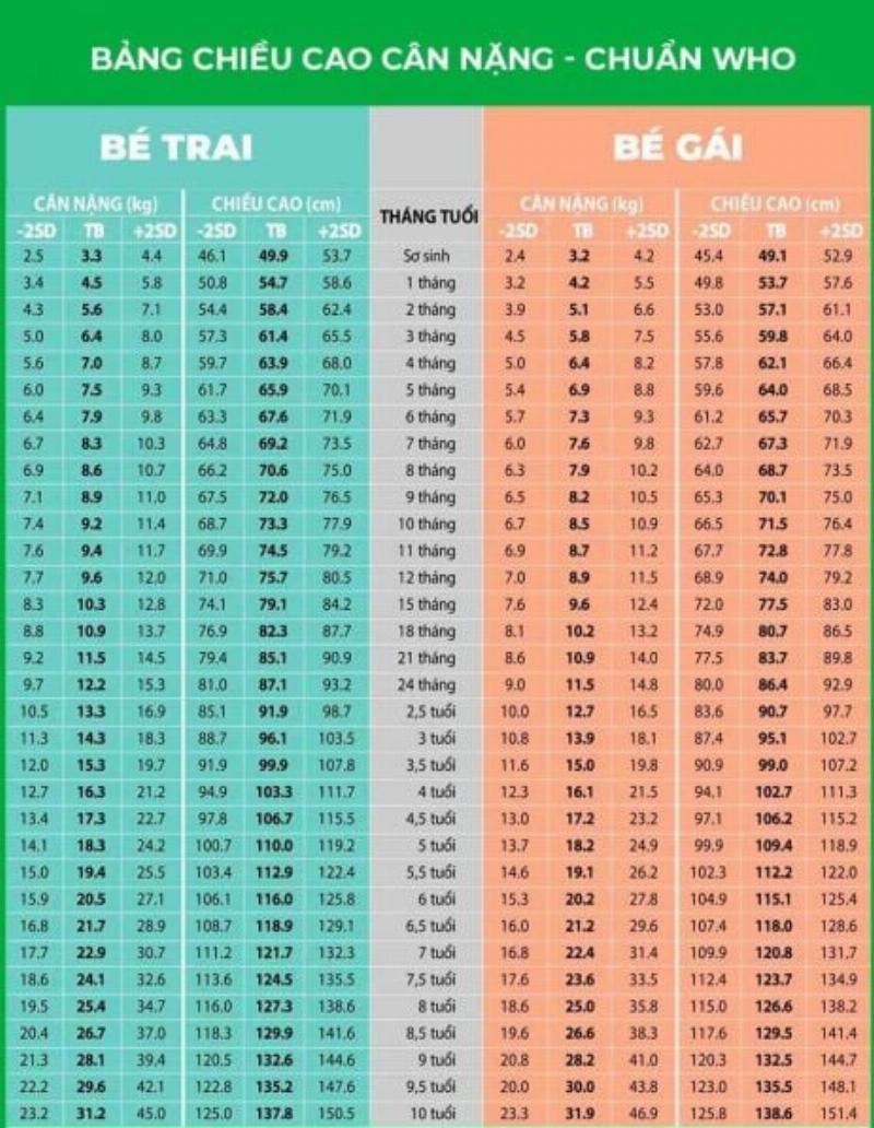 Biểu đồ tăng trưởng