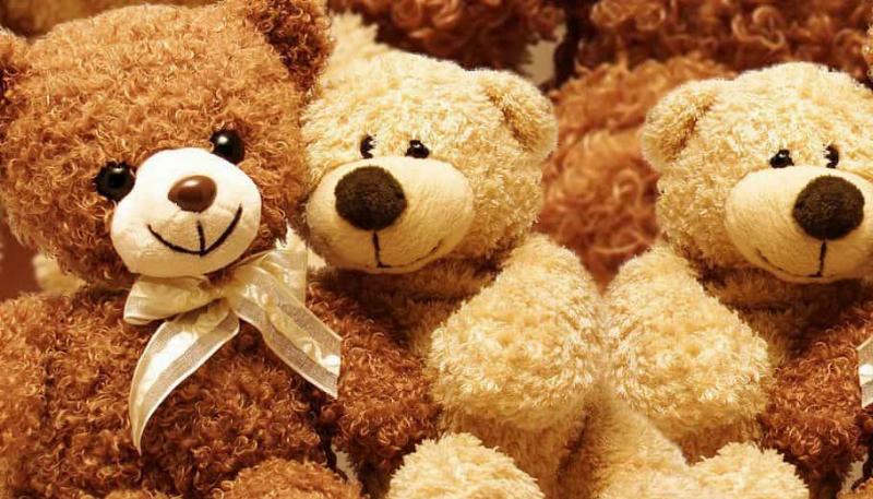 Nguồn Gốc Gấu Bông Teddy Bear