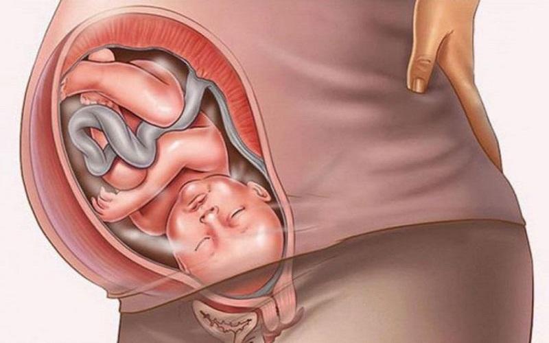 Hình ảnh một bác sĩ nhi khoa đang trò chuyện và tư vấn cho một người mẹ về sức khỏe và cân nặng của em bé 3 tuổi, nhấn mạnh vai trò của chuyên gia.