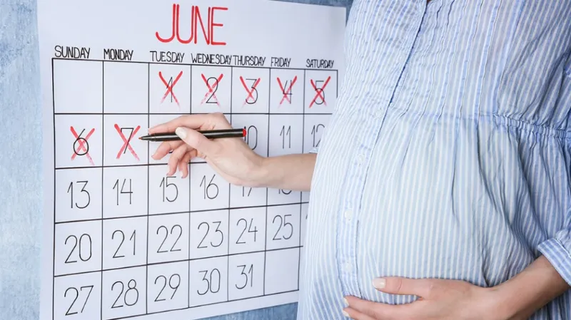 Bảng quy đổi tuần thai sang tháng giúp mẹ bầu dễ dàng hình dung 13 tuần là mấy tháng và các mốc khác
