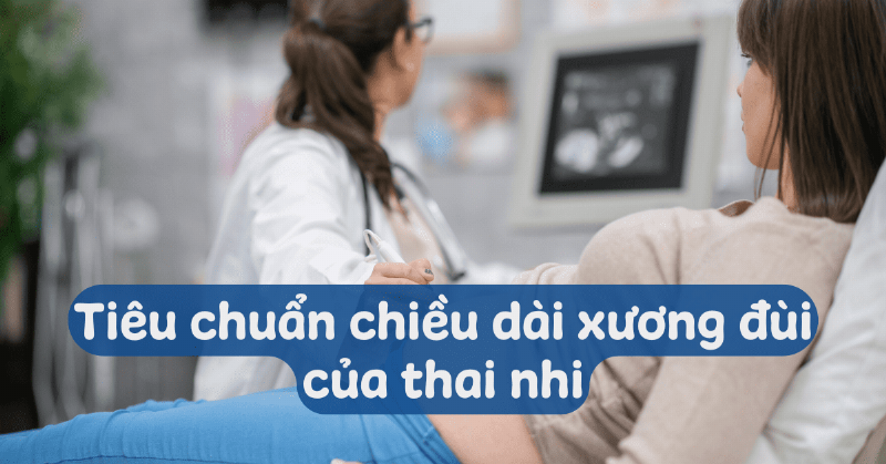bieu-do-phat-trien-xuong-dui-thai-nhi