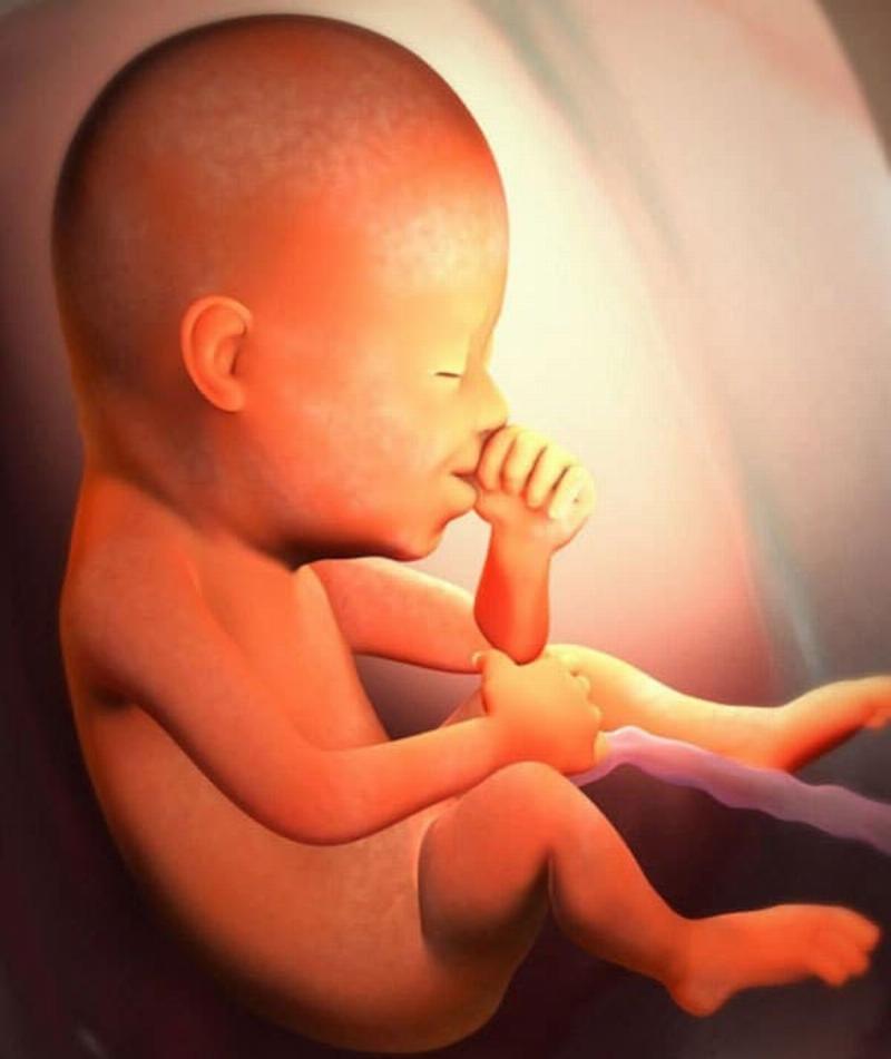 Chăm Sóc Mẹ Bầu 21 Tuần