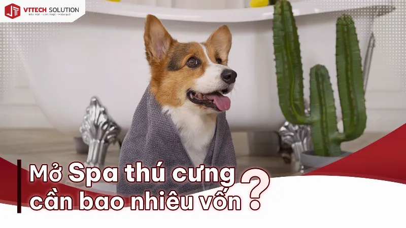 Chi phí dịch vụ tiệm thú cưng