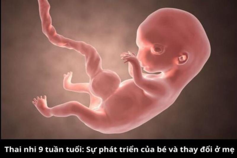 Hình ảnh người mẹ đang cho bé trên 1 tuổi ăn sữa chua trộn với trái cây chín mềm