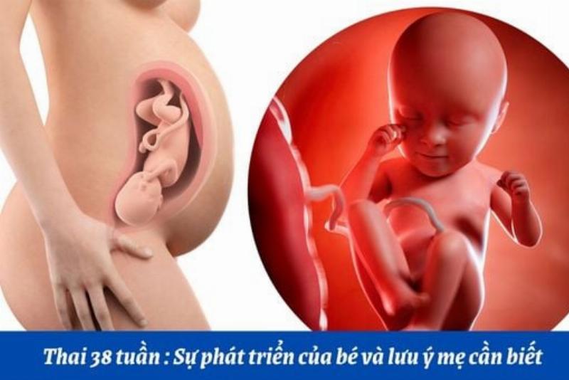 Hình ảnh giỏ đồ đi sinh chuẩn bị sẵn sàng cho mẹ và bé, cần thiết khi có biểu hiện sắp sinh trước 1 tuần