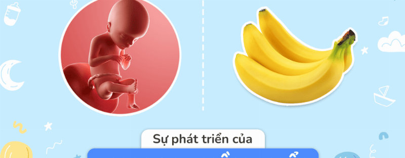 Khám Thai Định Kỳ 21 Tuần