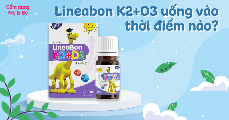 tac-dung-lineabon-k2-d3-buoi-sang