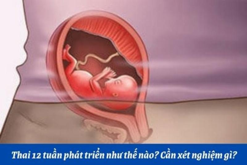 Hình ảnh mẹ bầu 13 tuần ăn uống lành mạnh, minh họa các thực phẩm tốt cho thai kỳ