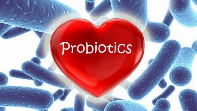 probiotics-cho-he-tieu-hoa
