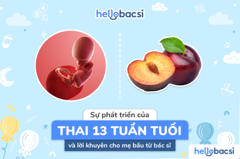 Infographic hoặc hình ảnh minh họa kích thước và cân nặng chuẩn của thai nhi 13 tuần