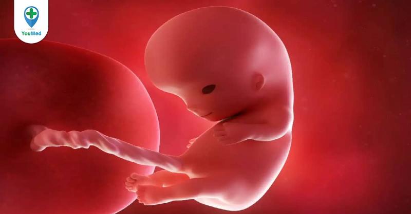 Thay đổi cơ thể mẹ bầu tuần 10