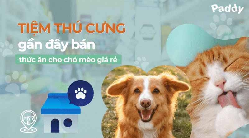 Tìm tiệm thú cưng gần đây uy tín