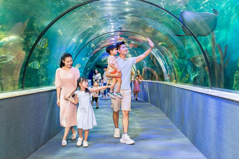 Hình ảnh trẻ em vui đùa trong nhà banh đầy bóng mềm tại khu vui chơi trong nhà