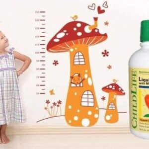 Vitamin ChildLife 473ml CANXI + MAGIE dạng sữa