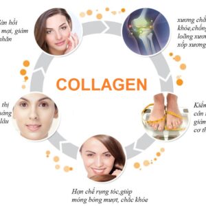 Viên uống đẹp da Collagen vitamin C chai 390 viên hãng Youtheory của Mỹ (mẫu mới)