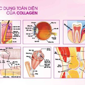 Viên uống đẹp da Collagen vitamin C chai 390 viên hãng Youtheory của Mỹ (mẫu mới)