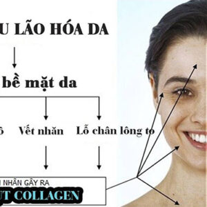 Viên uống đẹp da Collagen vitamin C chai 390 viên hãng Youtheory của Mỹ (mẫu mới)