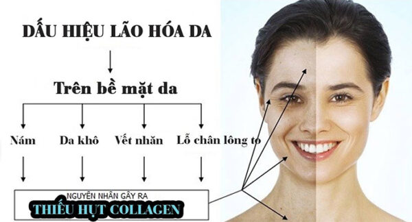 Viên uống đẹp da Collagen vitamin C chai 390 viên hãng Youtheory của Mỹ (mẫu mới)