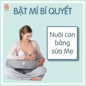 Gối cho bé bú Ergobaby Pillow Xám chính hãng