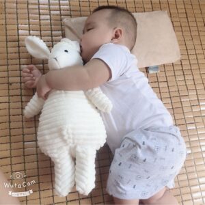 CỪU BÔNG MỀM MỊN CAO CẤP AN TOÀN, CHO CON NGỦ NGON To 40cm