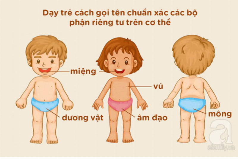 Phòng ngừa xâm hại tình dục